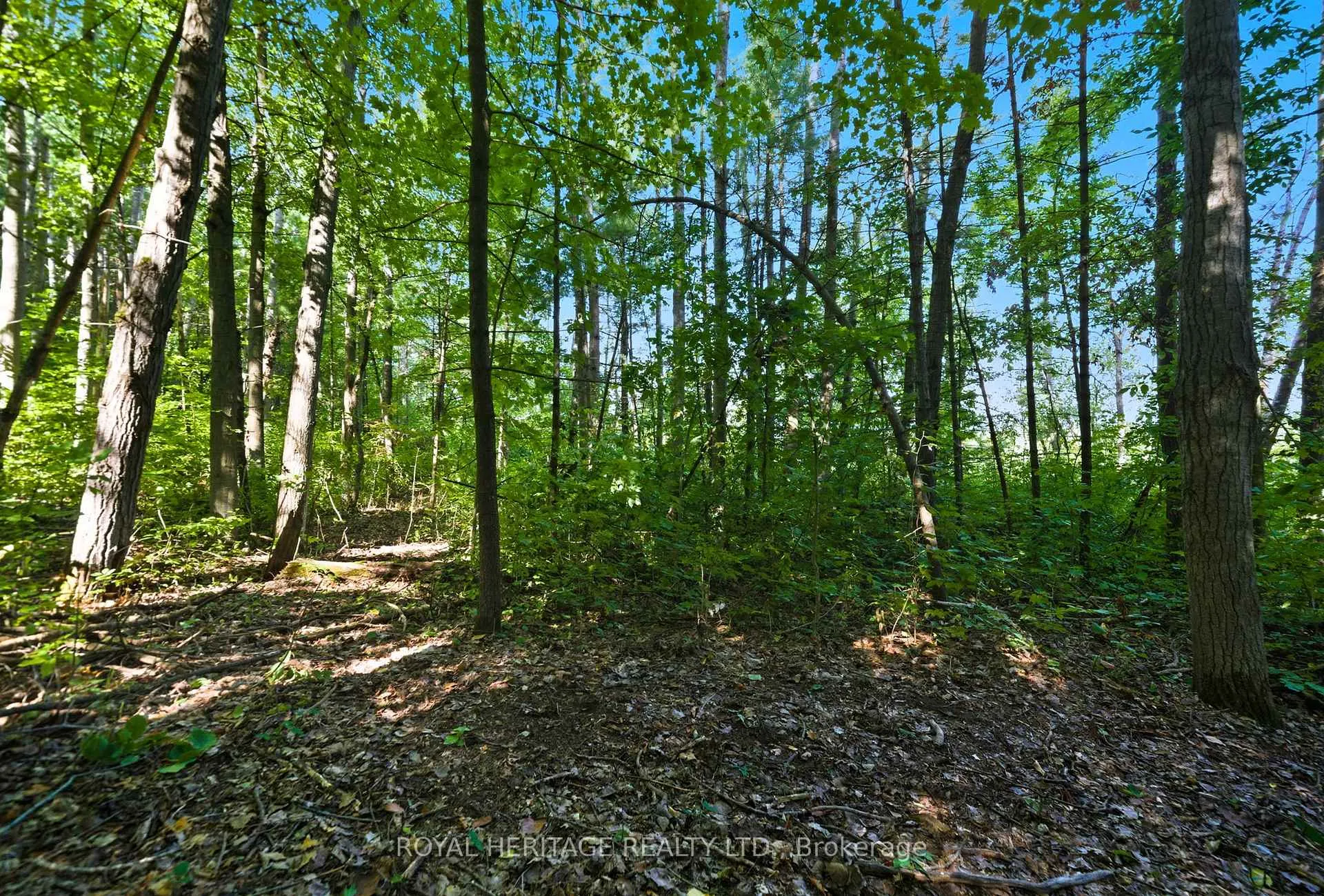 Photo 10 of Pinewood School Road, Cramahe, Rural Cramahe — HOMEH