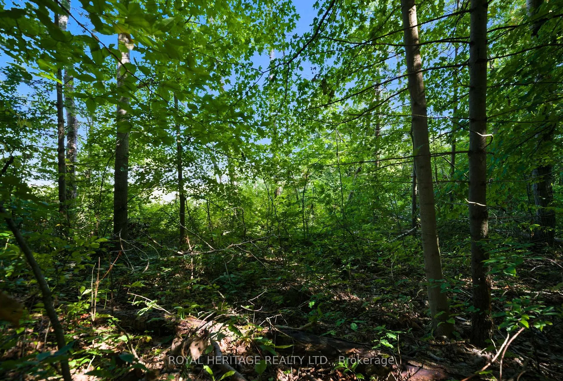 Photo 11 of Pinewood School Road, Cramahe, Rural Cramahe — HOMEH