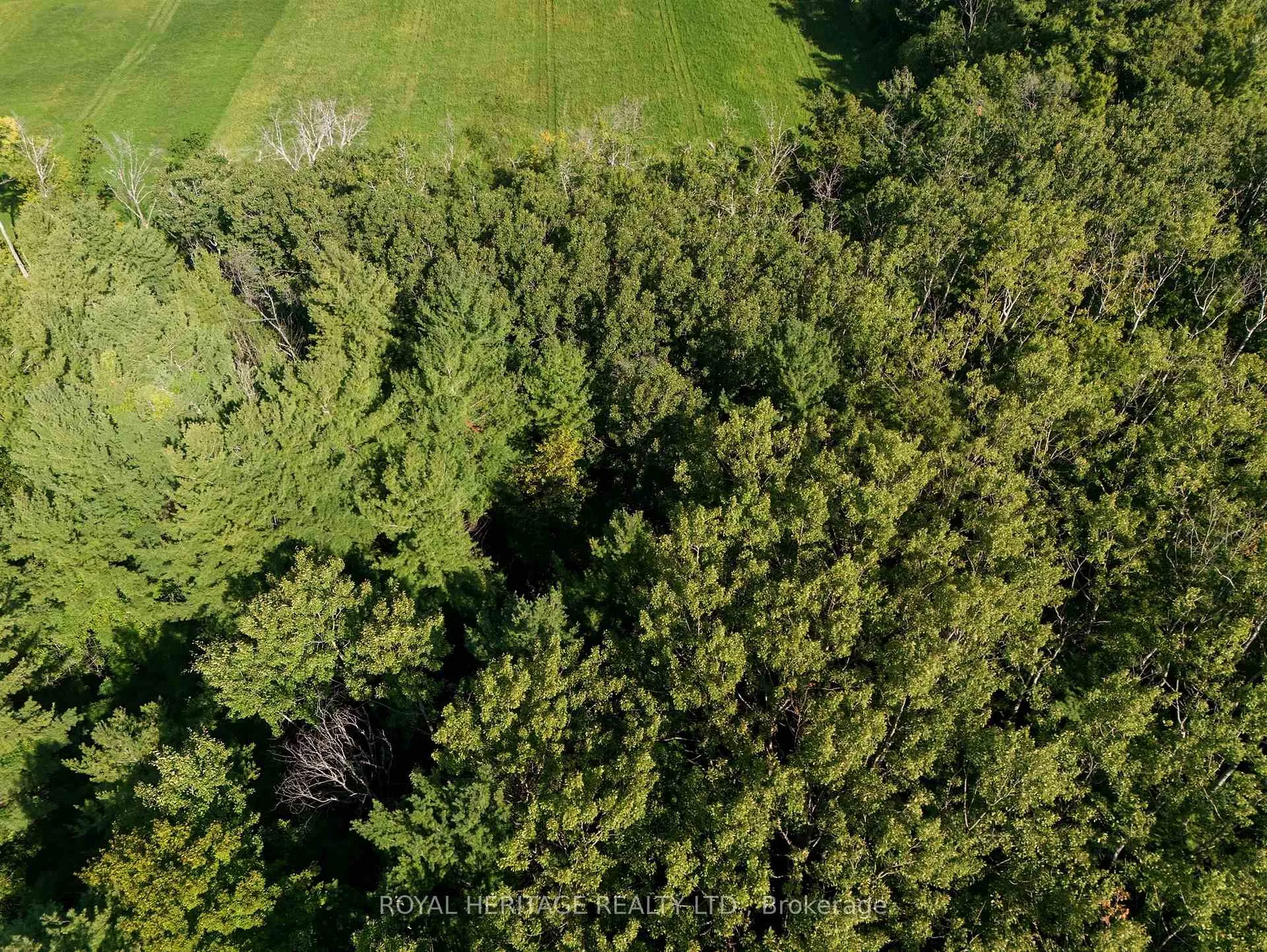 Photo 12 of Pinewood School Road, Cramahe, Rural Cramahe — HOMEH