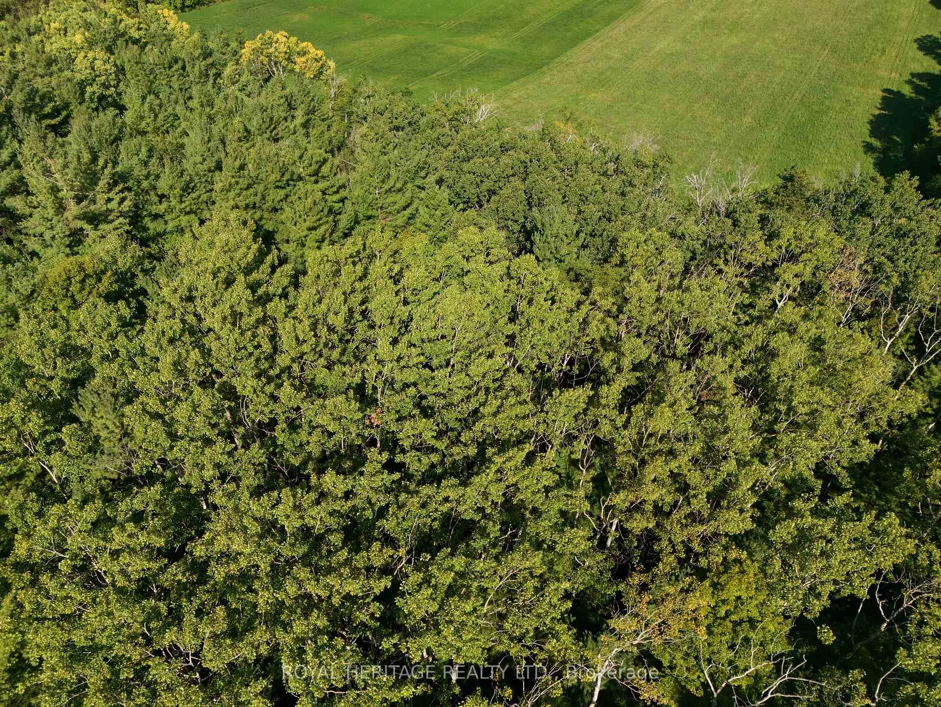 Photo 13 of Pinewood School Road, Cramahe, Rural Cramahe — HOMEH