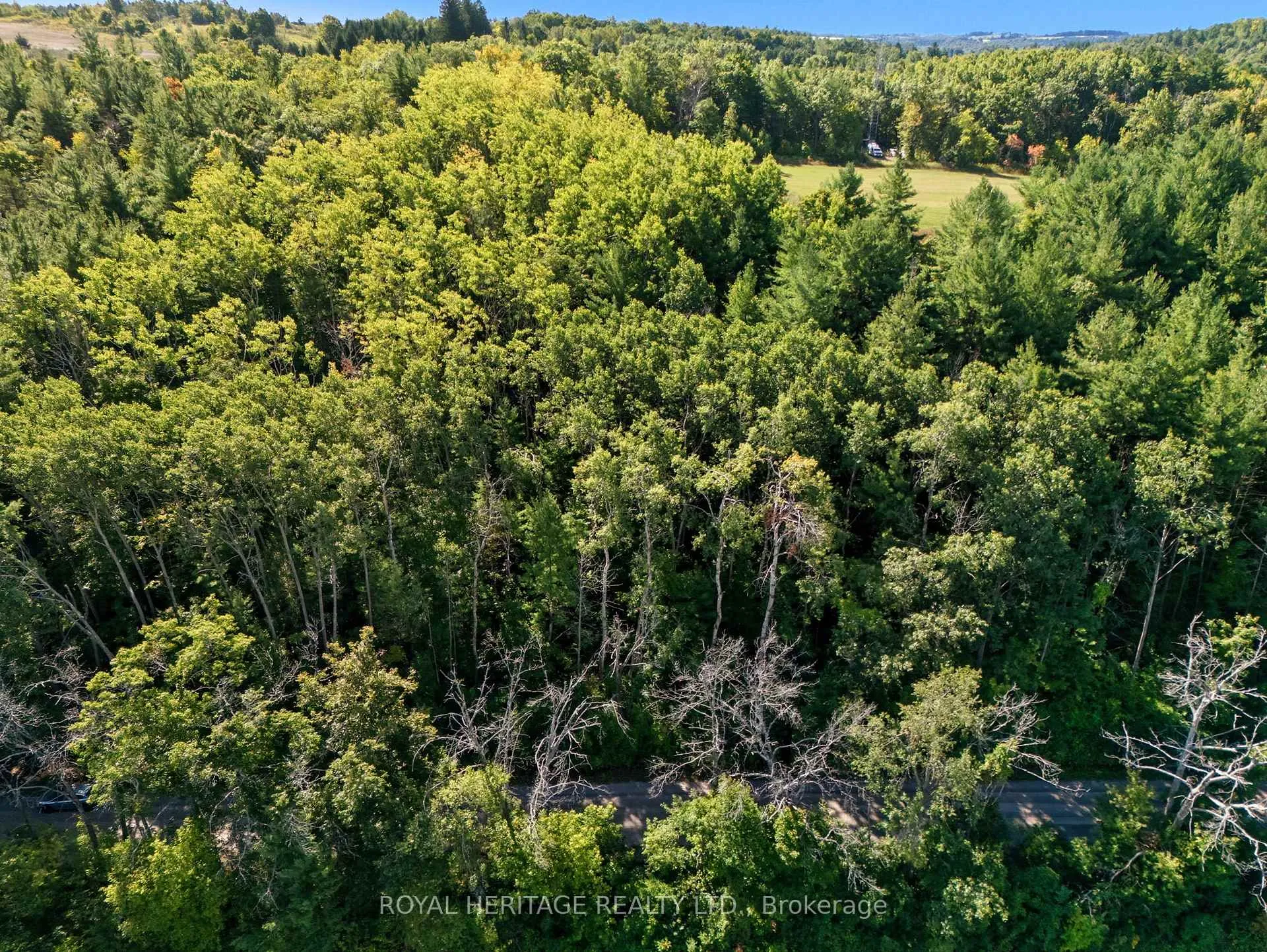 Photo 14 of Pinewood School Road, Cramahe, Rural Cramahe — HOMEH