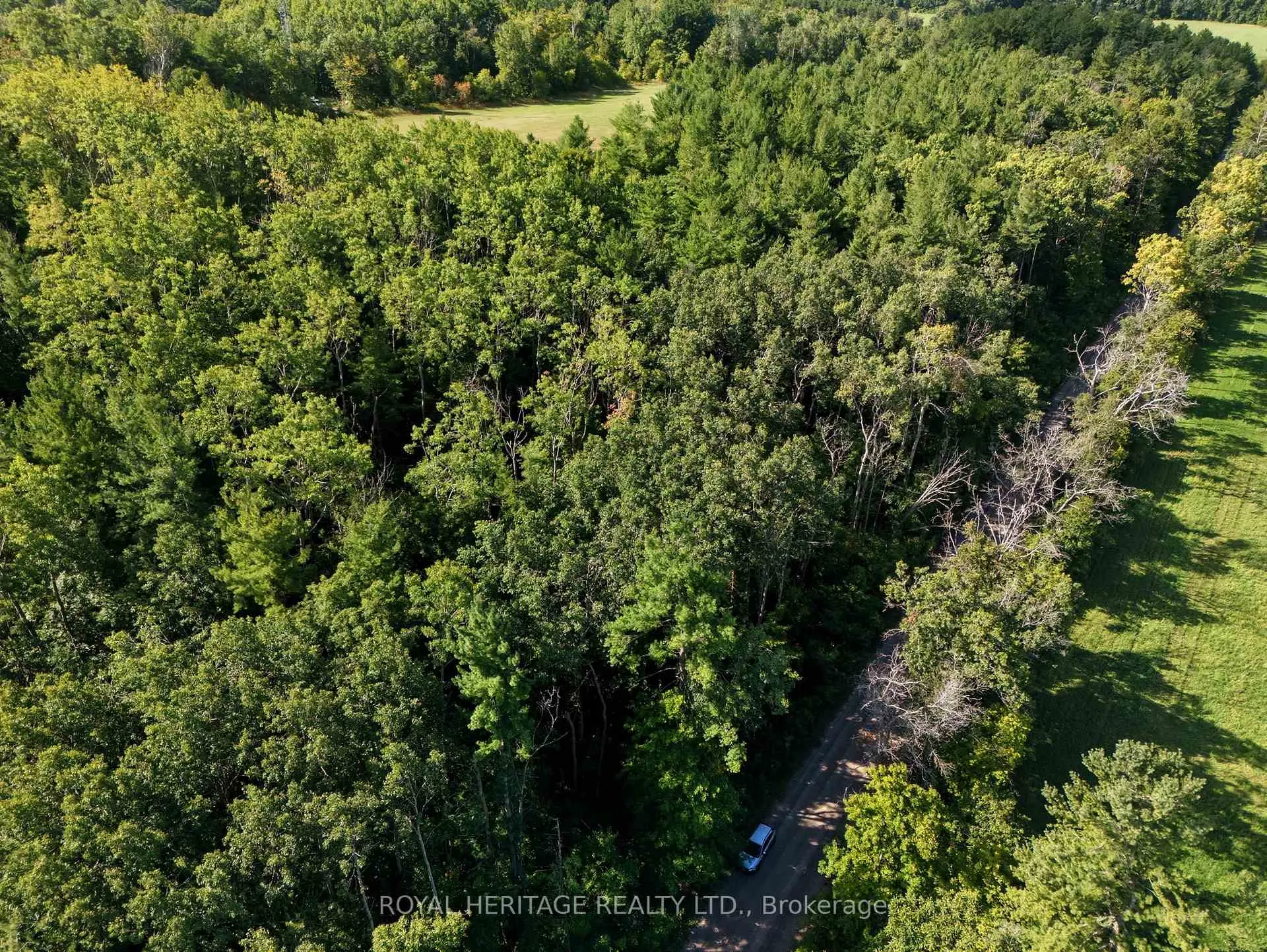 Photo 15 of Pinewood School Road, Cramahe, Rural Cramahe — HOMEH