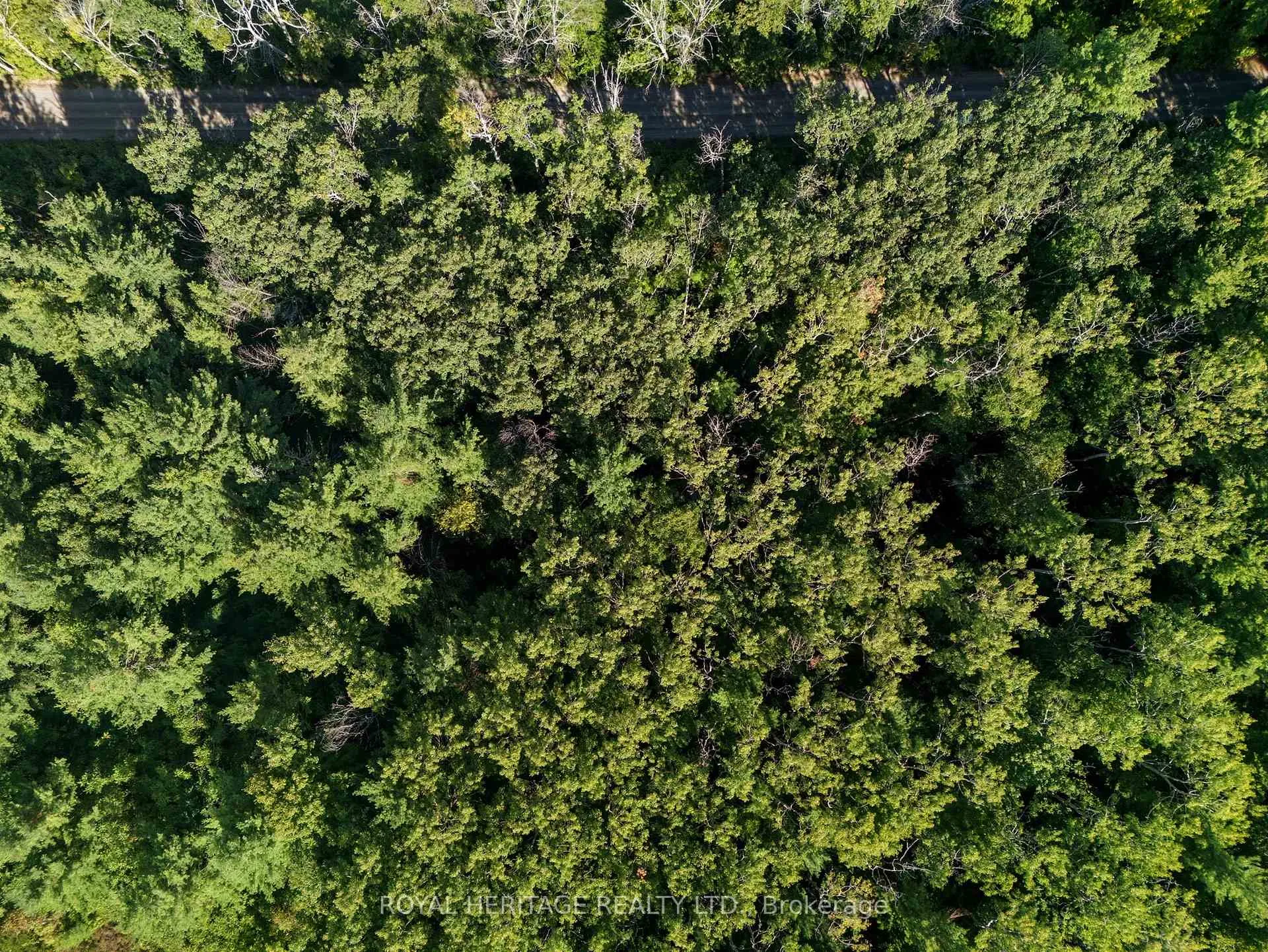 Photo 16 of Pinewood School Road, Cramahe, Rural Cramahe — HOMEH