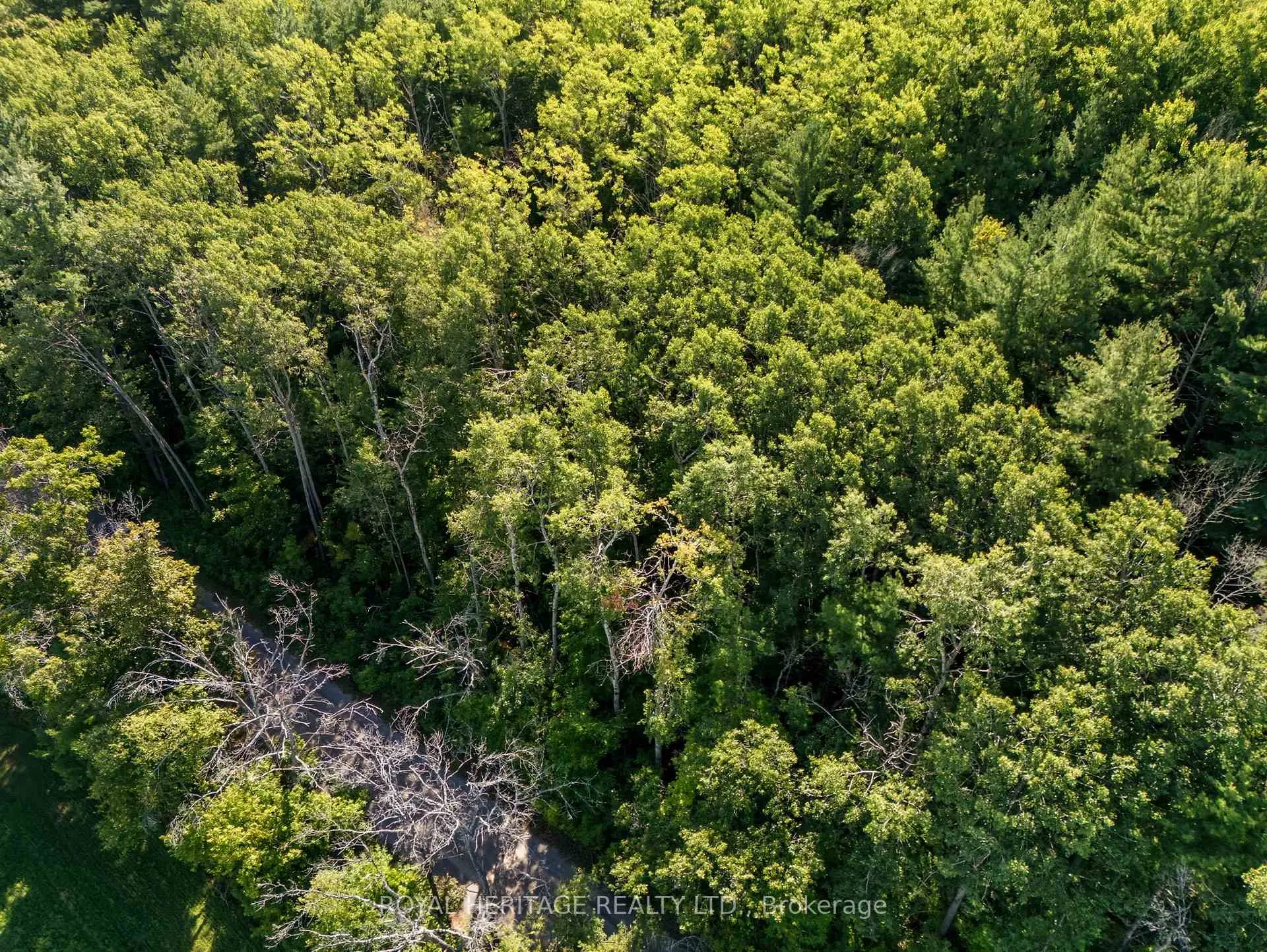 Photo 18 of Pinewood School Road, Cramahe, Rural Cramahe — HOMEH