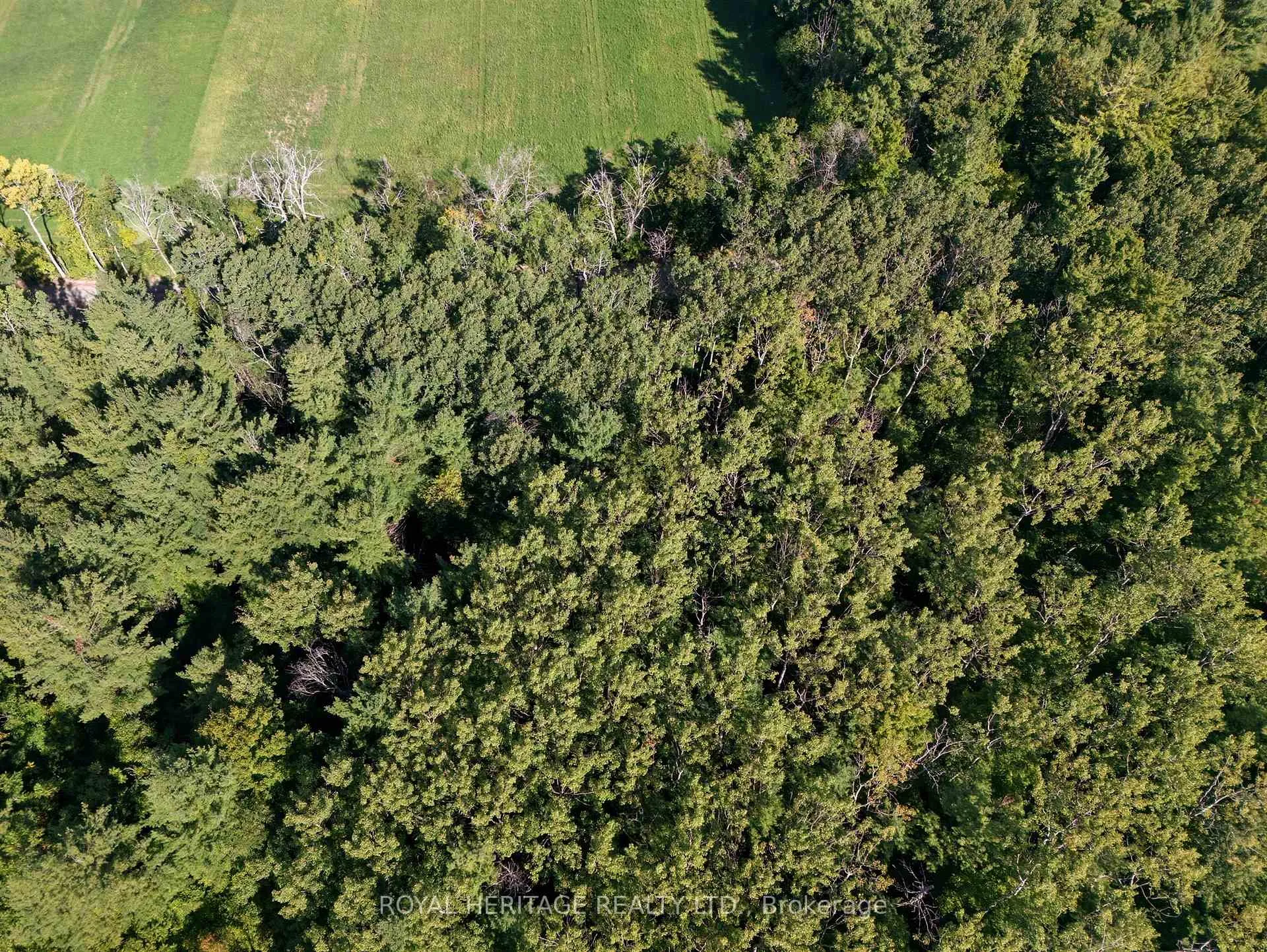 Photo 23 of Pinewood School Road, Cramahe, Rural Cramahe — HOMEH