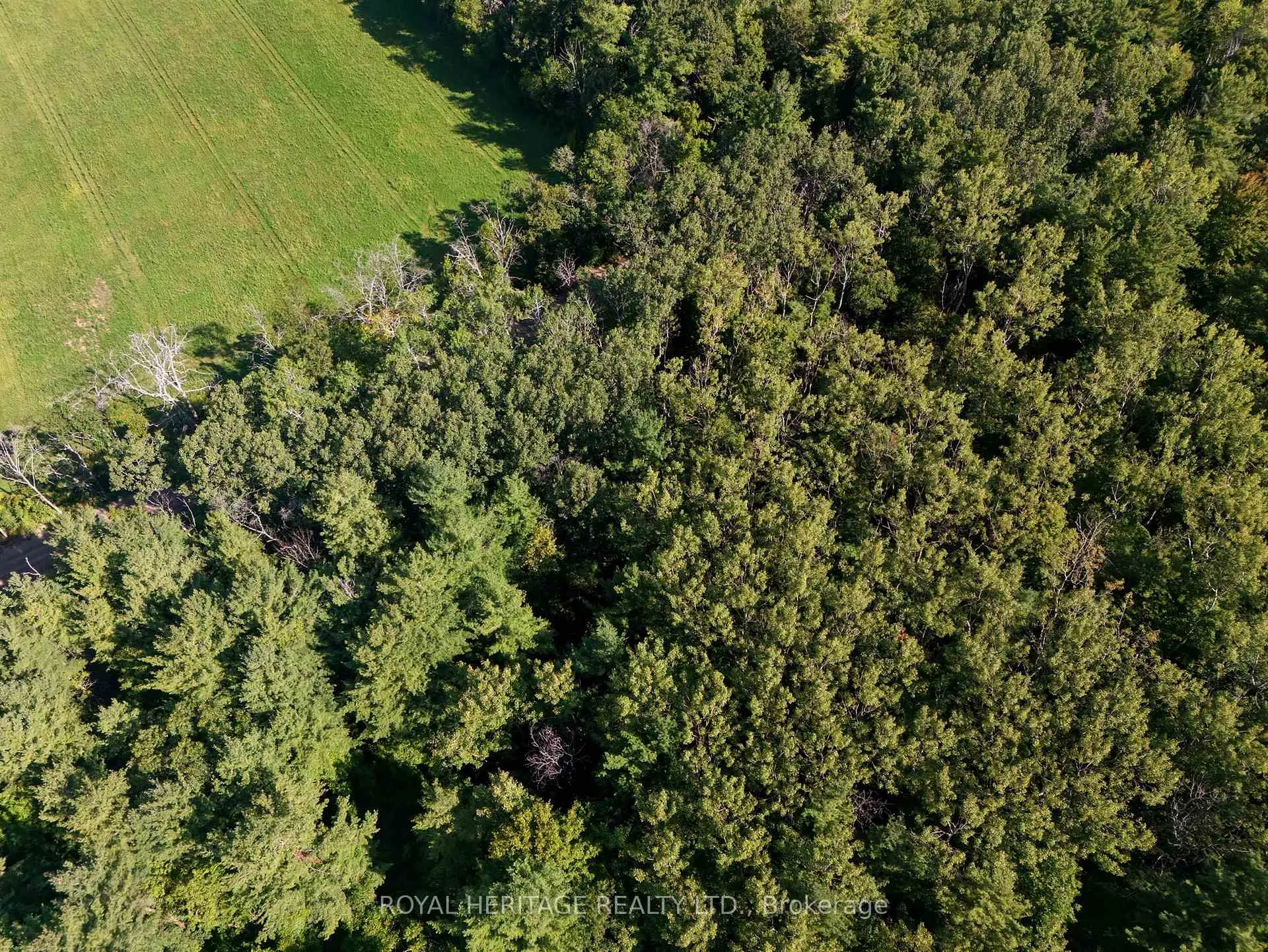Photo 24 of Pinewood School Road, Cramahe, Rural Cramahe — HOMEH