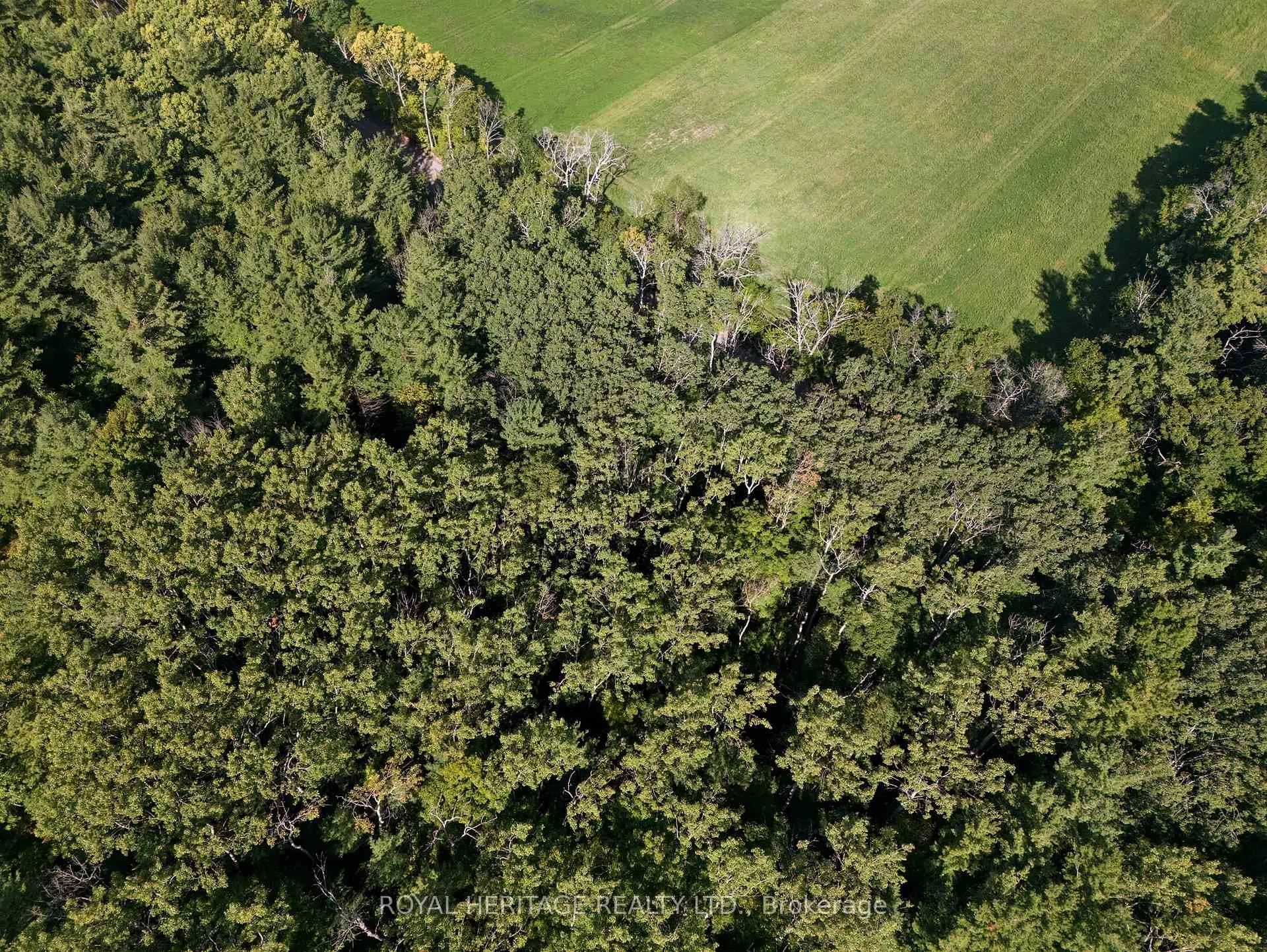 Photo 25 of Pinewood School Road, Cramahe, Rural Cramahe — HOMEH
