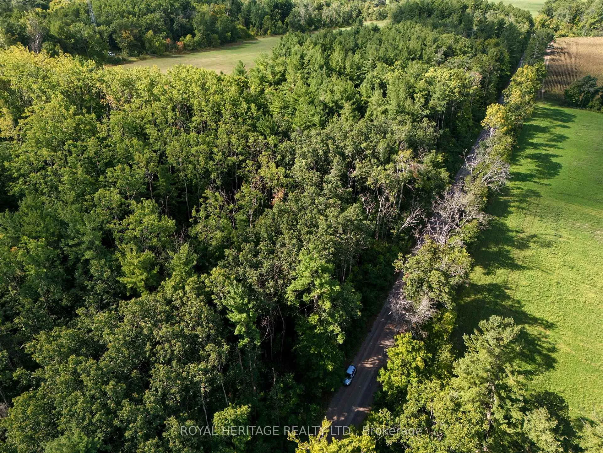 Photo 26 of Pinewood School Road, Cramahe, Rural Cramahe — HOMEH