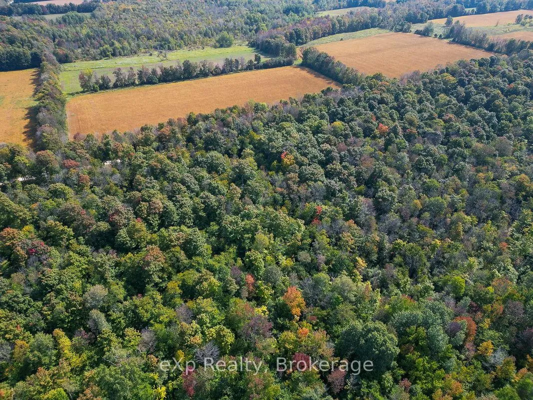 Photo 5 of PTLT 30 30th Sideroad NDR, West Grey — HOMEH