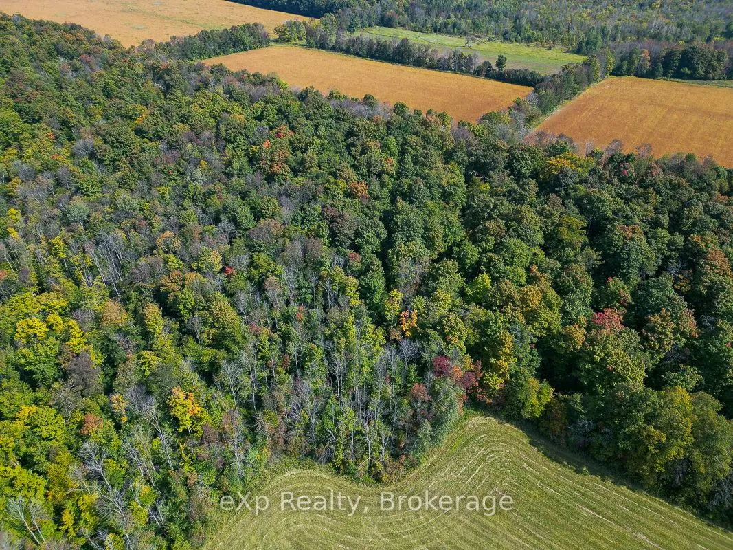Photo 9 of PTLT 30 30th Sideroad NDR, West Grey — HOMEH