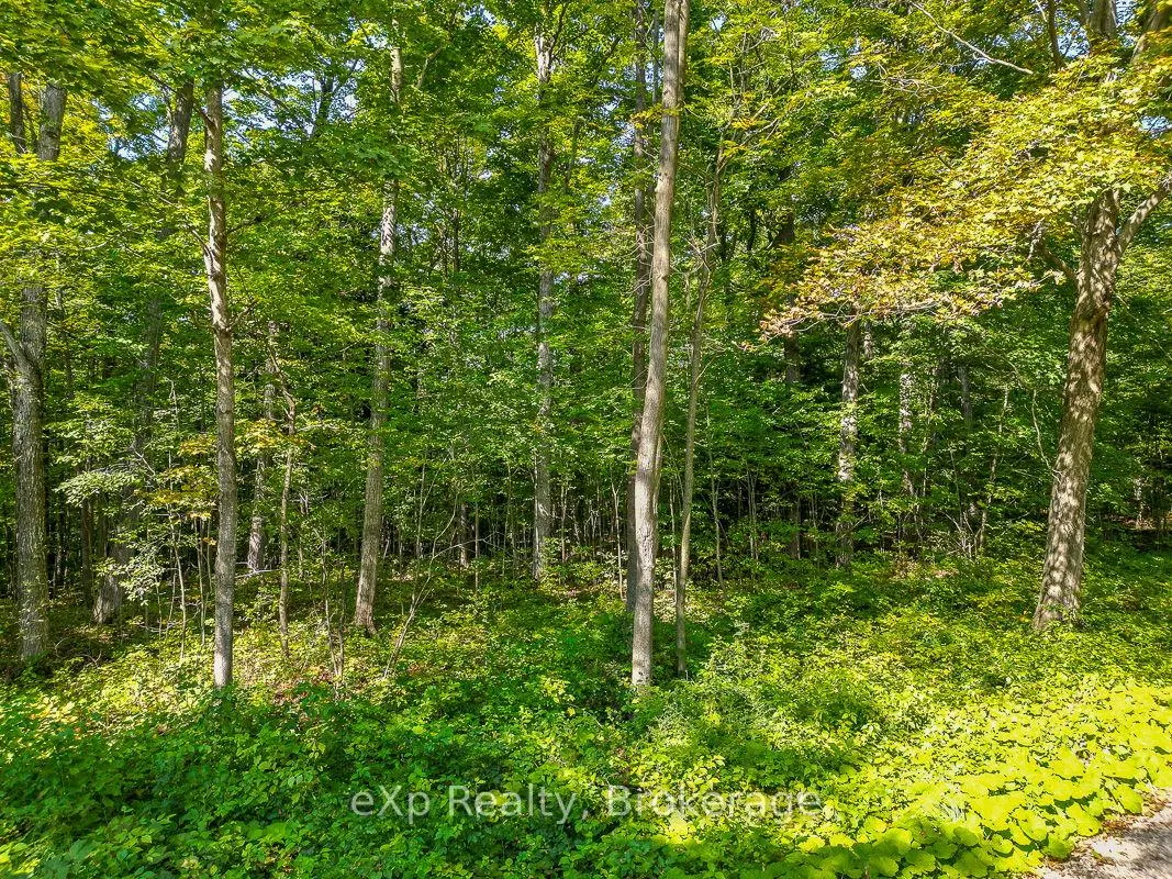 Photo 11 of PTLT 30 30th Sideroad NDR, West Grey — HOMEH