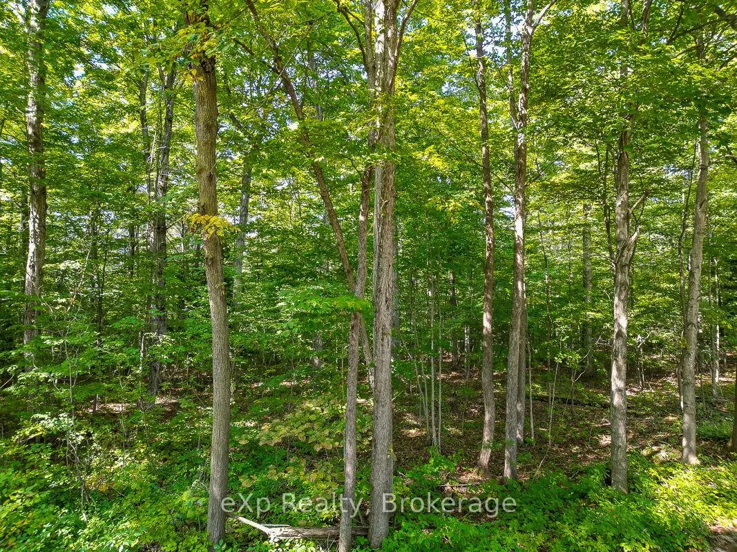 Photo 12 of PTLT 30 30th Sideroad NDR, West Grey — HOMEH