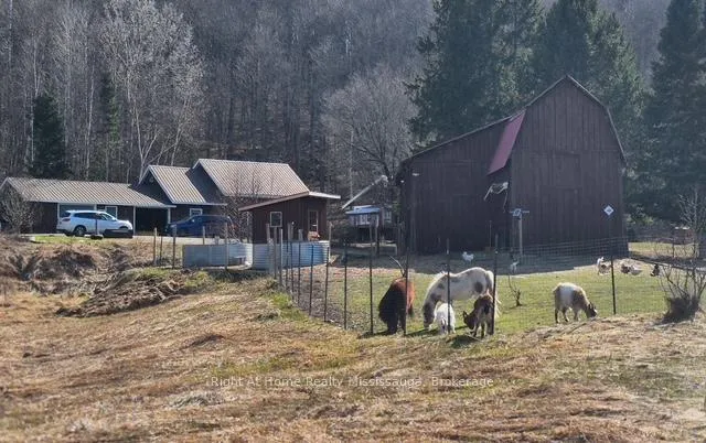 Photo 2 of 411A Peggs Mountain Road SE, Ryerson — HOMEH