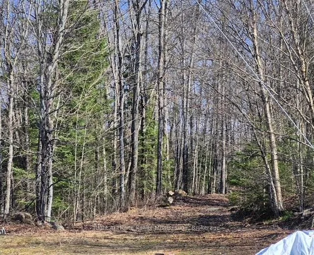 Photo 7 of 411A Peggs Mountain Road SE, Ryerson — HOMEH