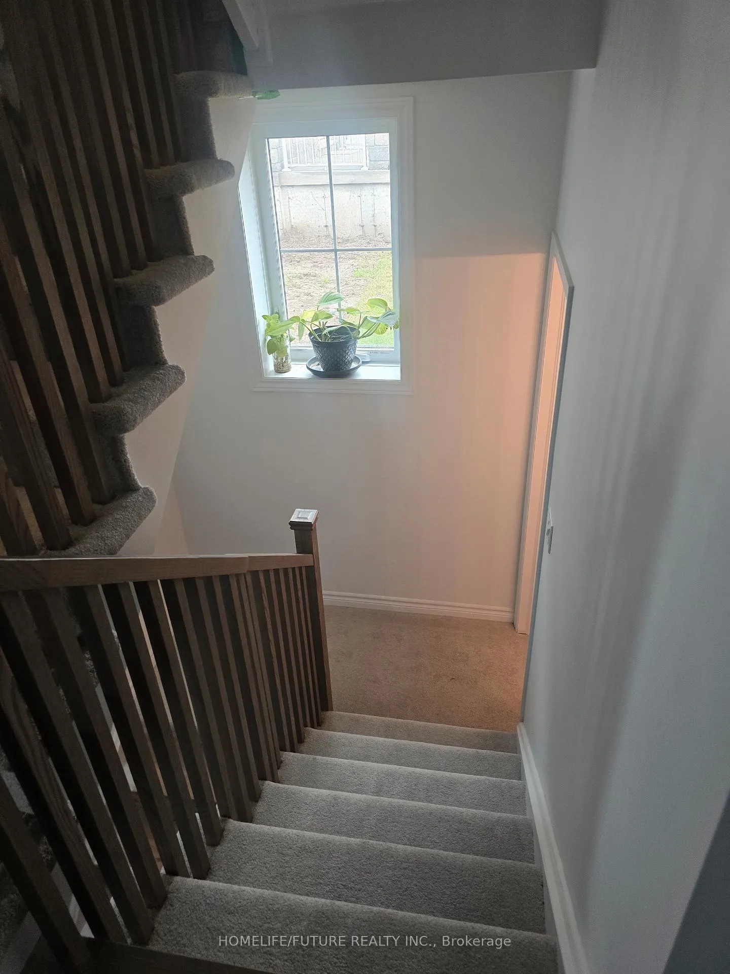 Photo 18 of 20 Lincoln Drive, Belleville, Belleville Ward — HOMEH