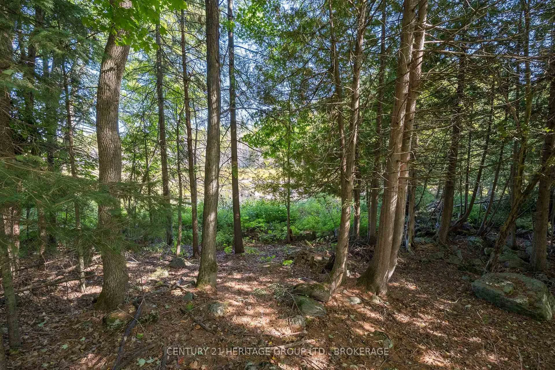 Photo 3 of 108 Queen Street, Tweed, Hungerford (Twp) — HOMEH