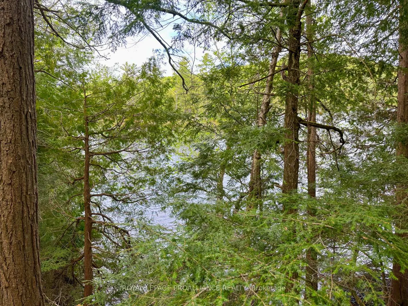Photo 3 of Granite Terrace Lane, Frontenac, Frontenac North — HOMEH