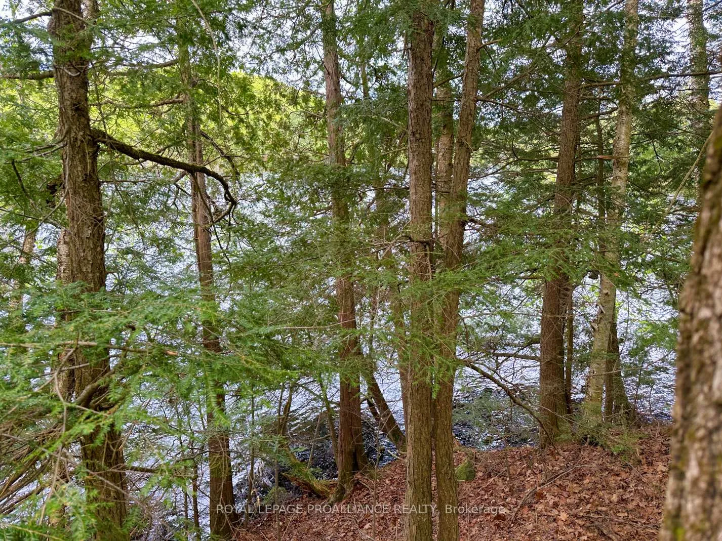 Photo 4 of Granite Terrace Lane, Frontenac, Frontenac North — HOMEH