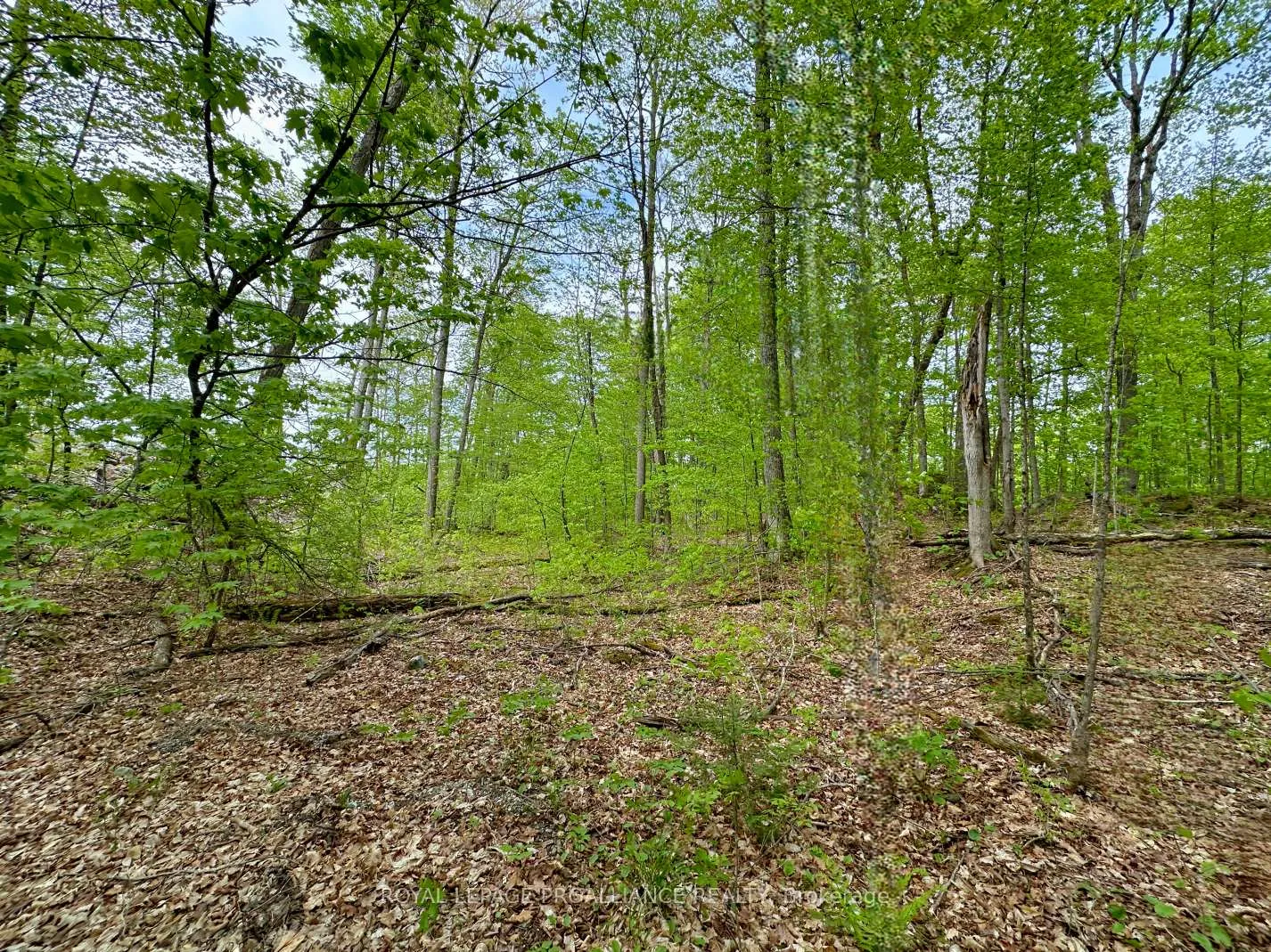 Photo 5 of Granite Terrace Lane, Frontenac, Frontenac North — HOMEH