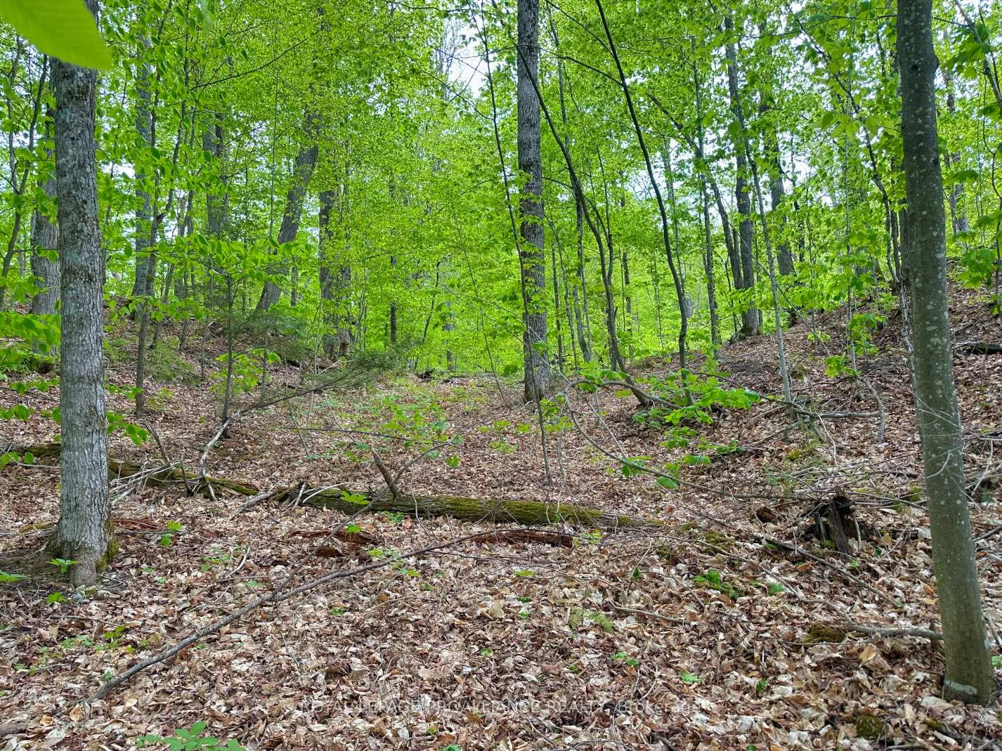 Photo 6 of Granite Terrace Lane, Frontenac, Frontenac North — HOMEH