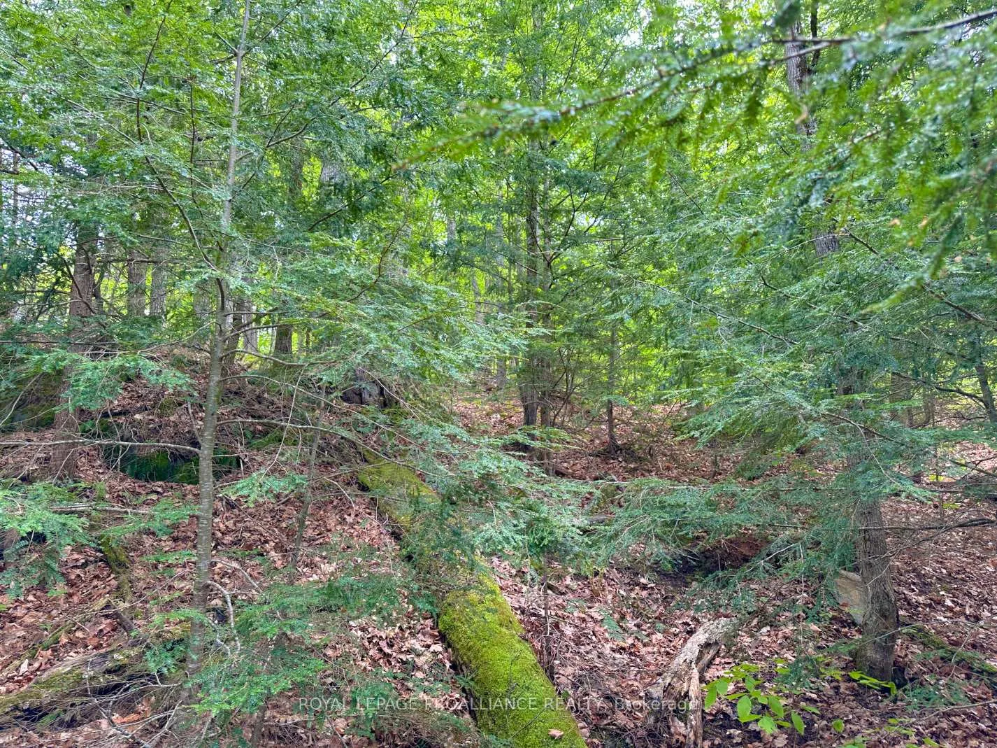 Photo 10 of Granite Terrace Lane, Frontenac, Frontenac North — HOMEH
