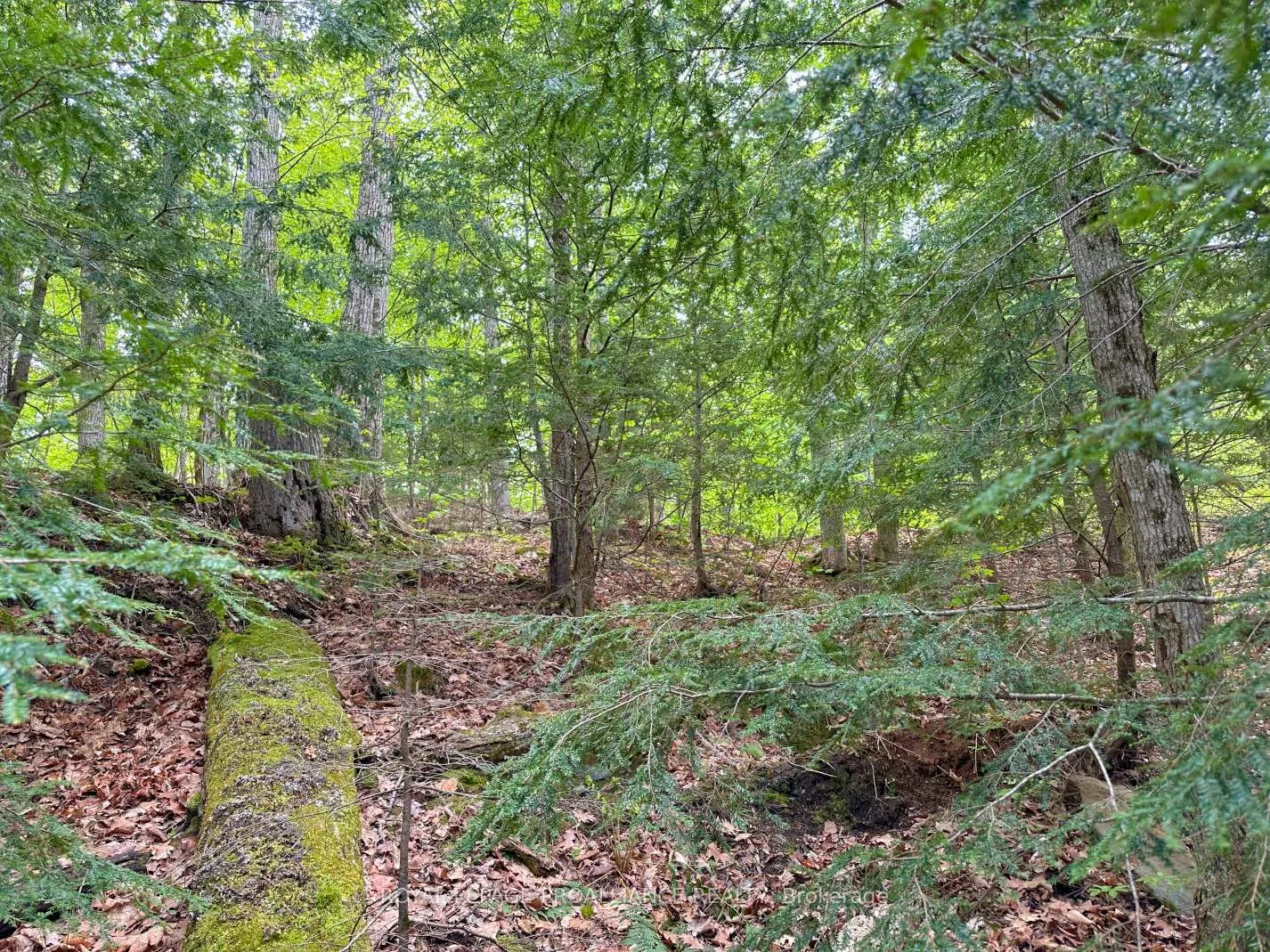 Photo 11 of Granite Terrace Lane, Frontenac, Frontenac North — HOMEH