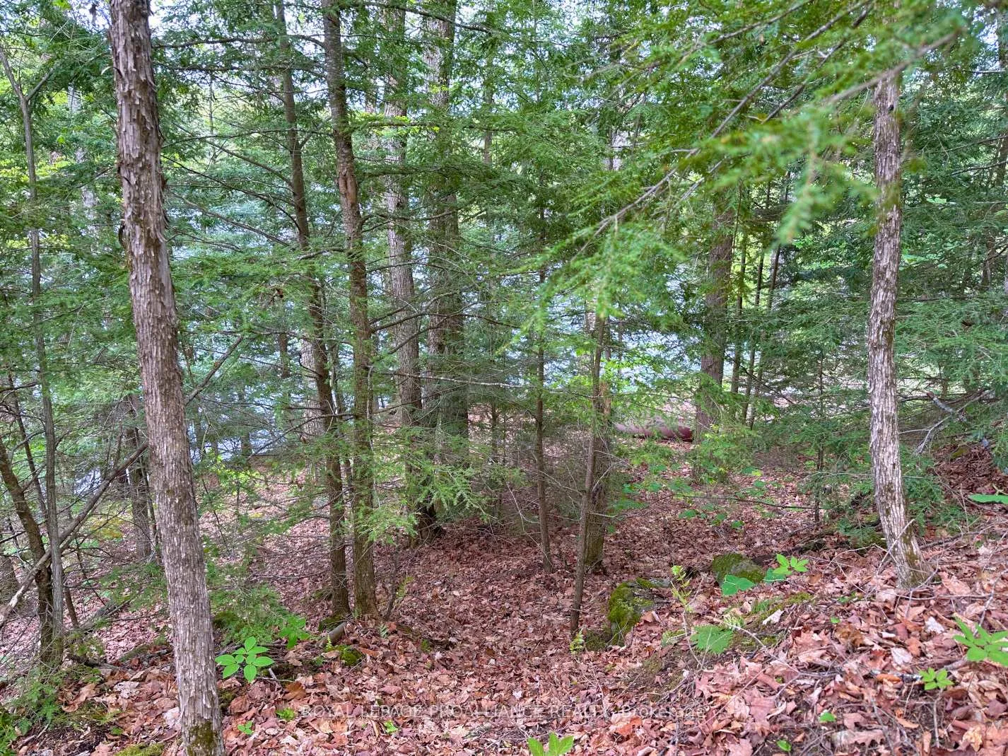 Photo 12 of Granite Terrace Lane, Frontenac, Frontenac North — HOMEH