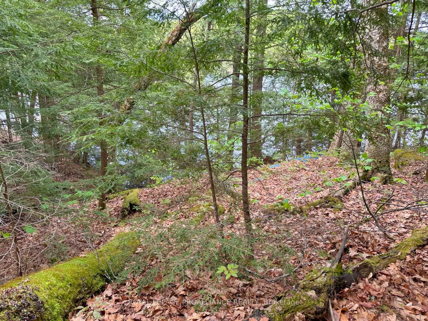 Photo 13 of Granite Terrace Lane, Frontenac, Frontenac North — HOMEH