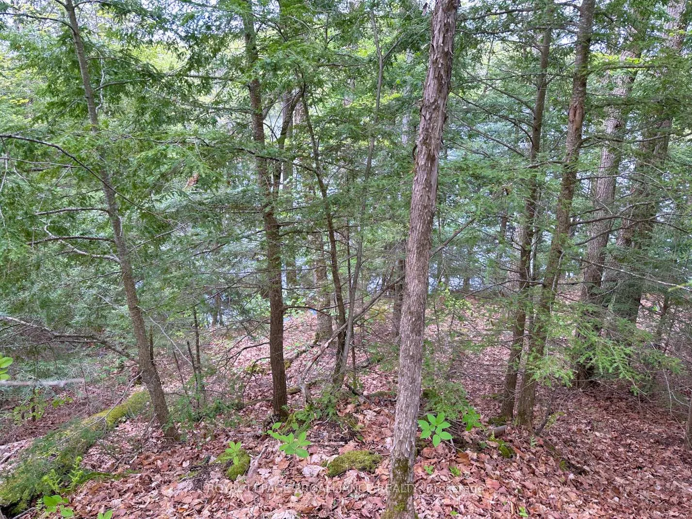 Photo 14 of Granite Terrace Lane, Frontenac, Frontenac North — HOMEH