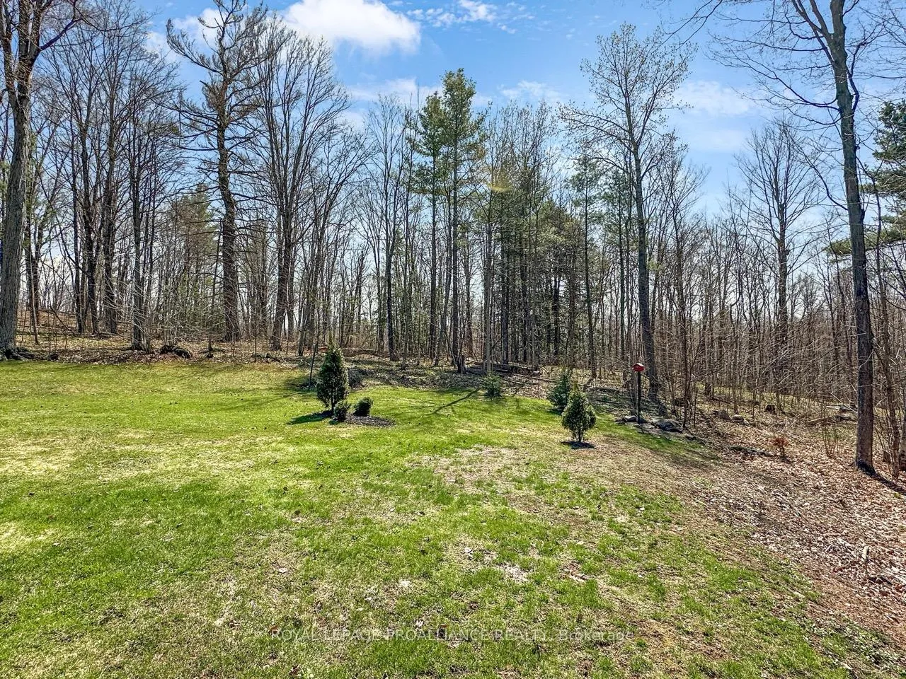 Photo 47 of 83 Harts Road, Madoc — HOMEH