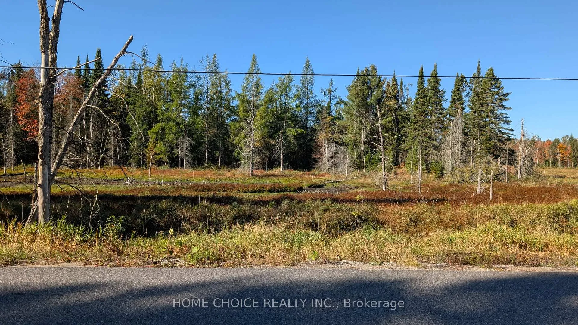 Photo 6 of 1172 Barkway Road, Gravenhurst, Ryde — HOMEH