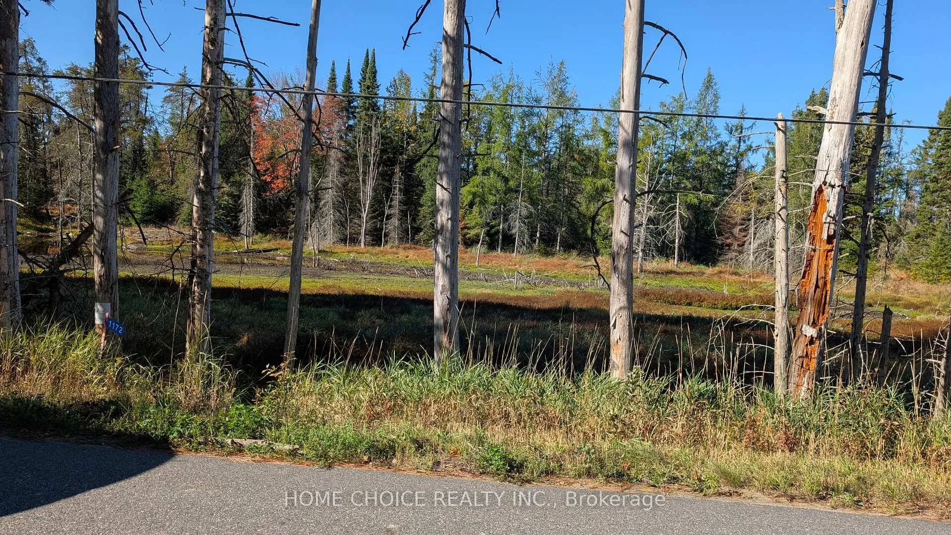 Photo 7 of 1172 Barkway Road, Gravenhurst, Ryde — HOMEH