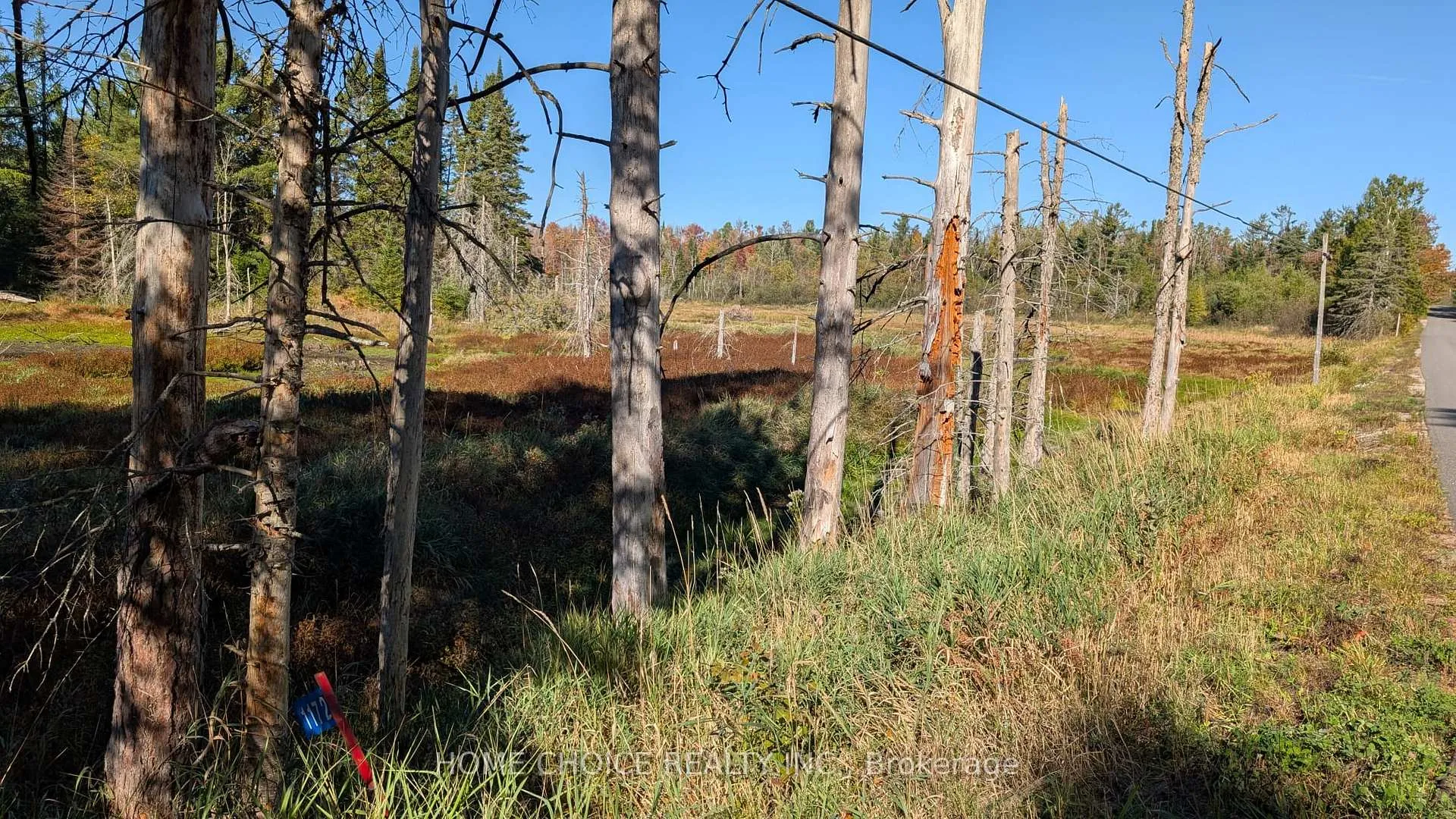 Photo 8 of 1172 Barkway Road, Gravenhurst, Ryde — HOMEH