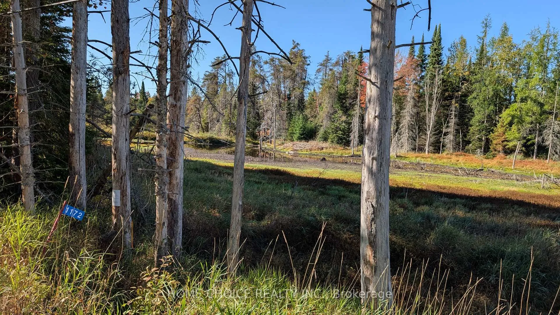 Photo 9 of 1172 Barkway Road, Gravenhurst, Ryde — HOMEH