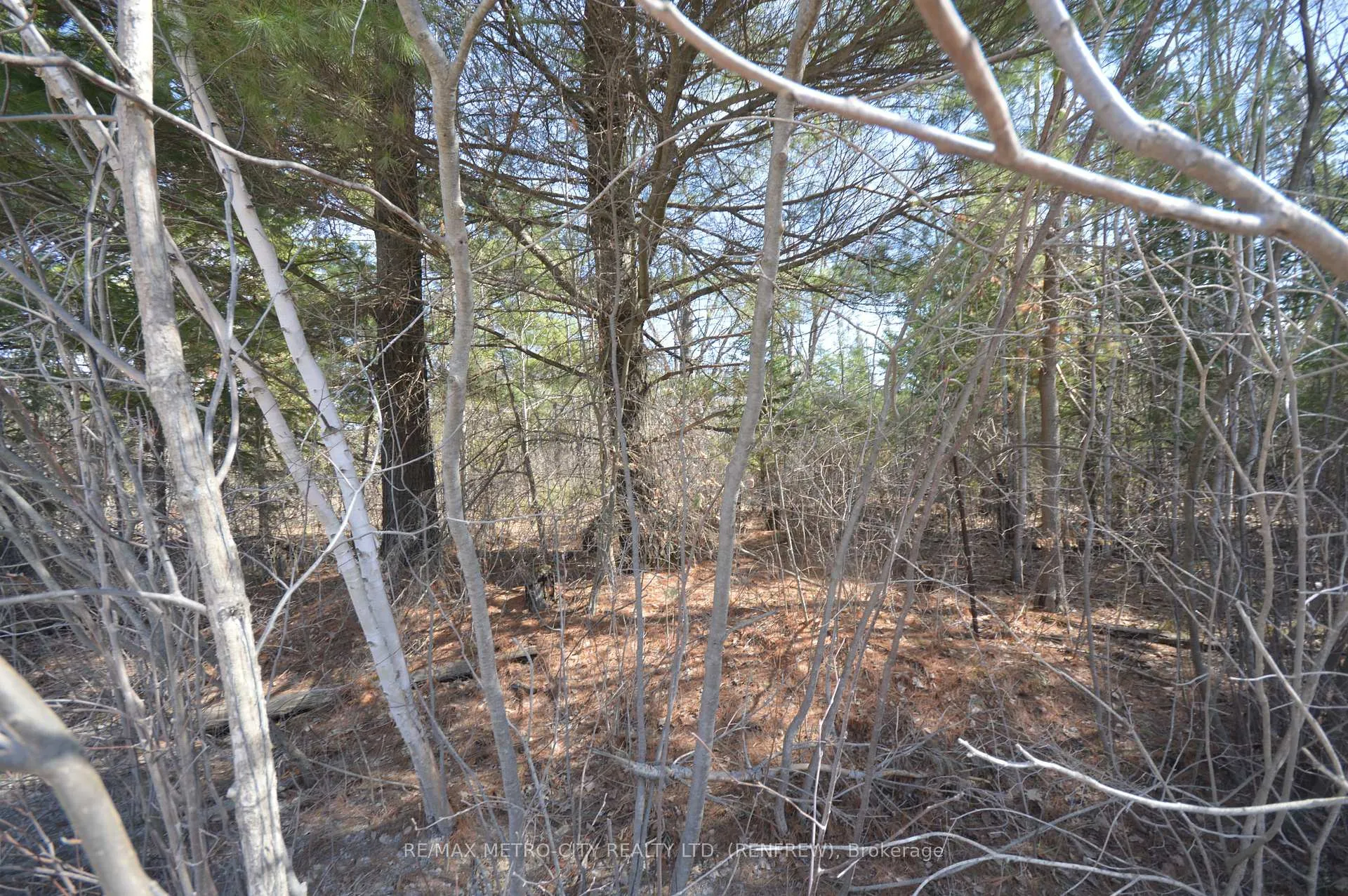 Photo 3 of 00 Behm Line, Admaston/Bromley, Admaston/Bromley — HOMEH