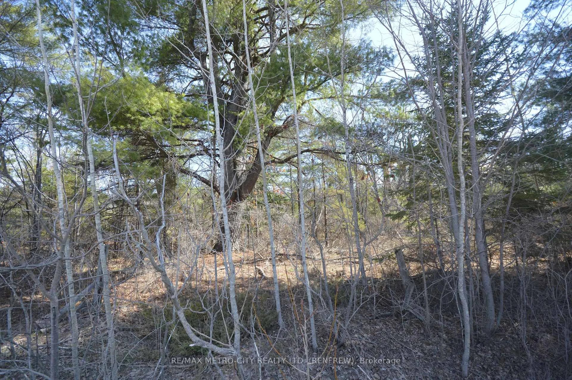 Photo 4 of 00 Behm Line, Admaston/Bromley, Admaston/Bromley — HOMEH