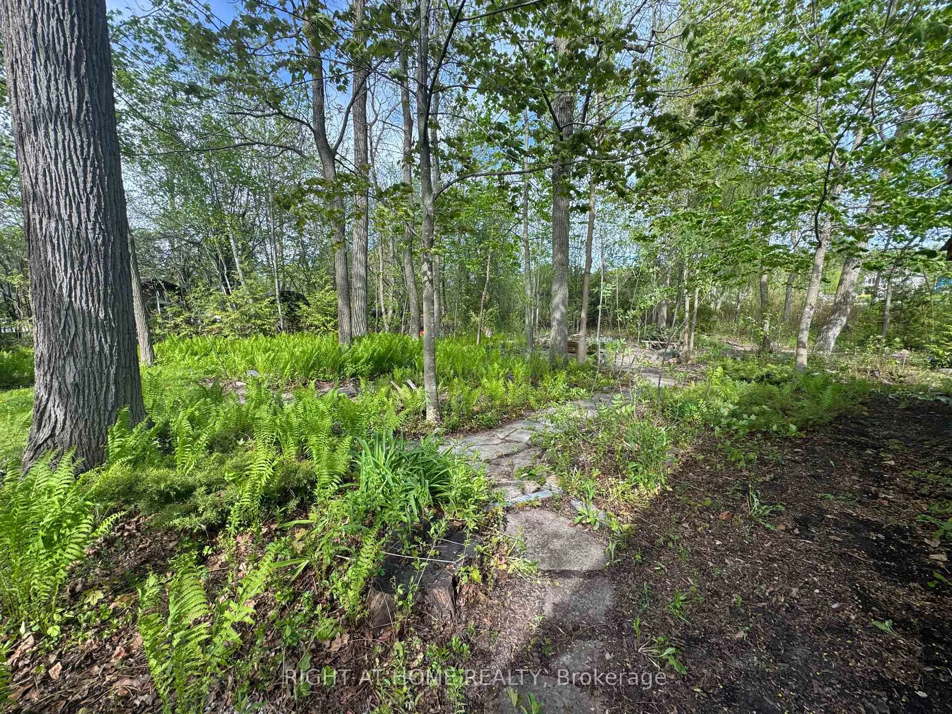 Photo 28 of 28 Birch Island Road, Scugog, Rural Scugog — HOMEH