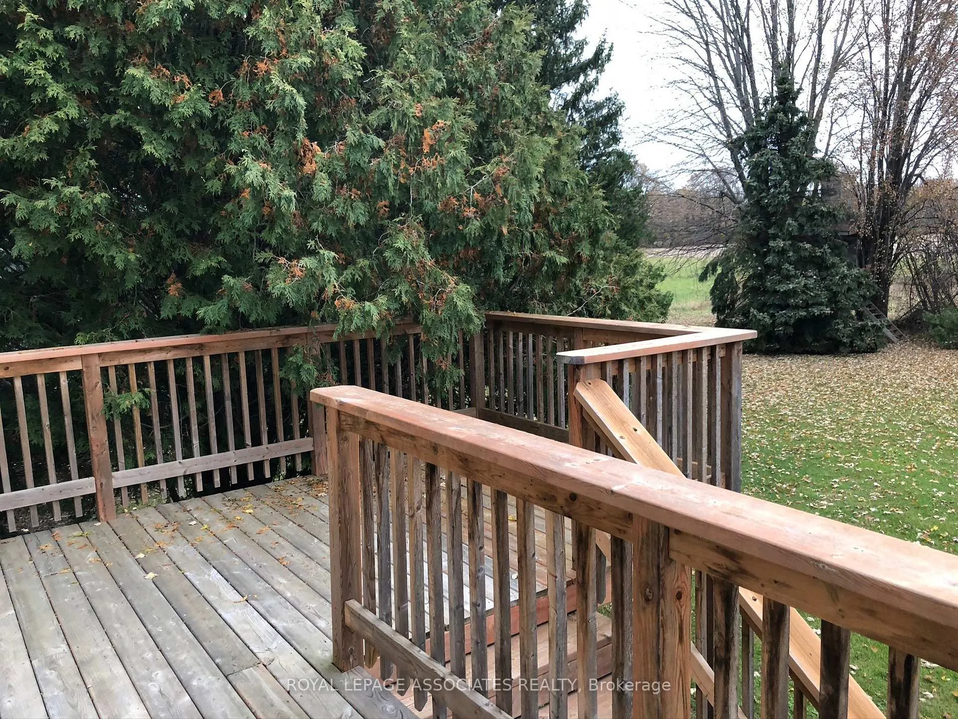 Photo 26 of 992 McCready Road, Dawn-Euphemia, Dawn Euphemia — HOMEH