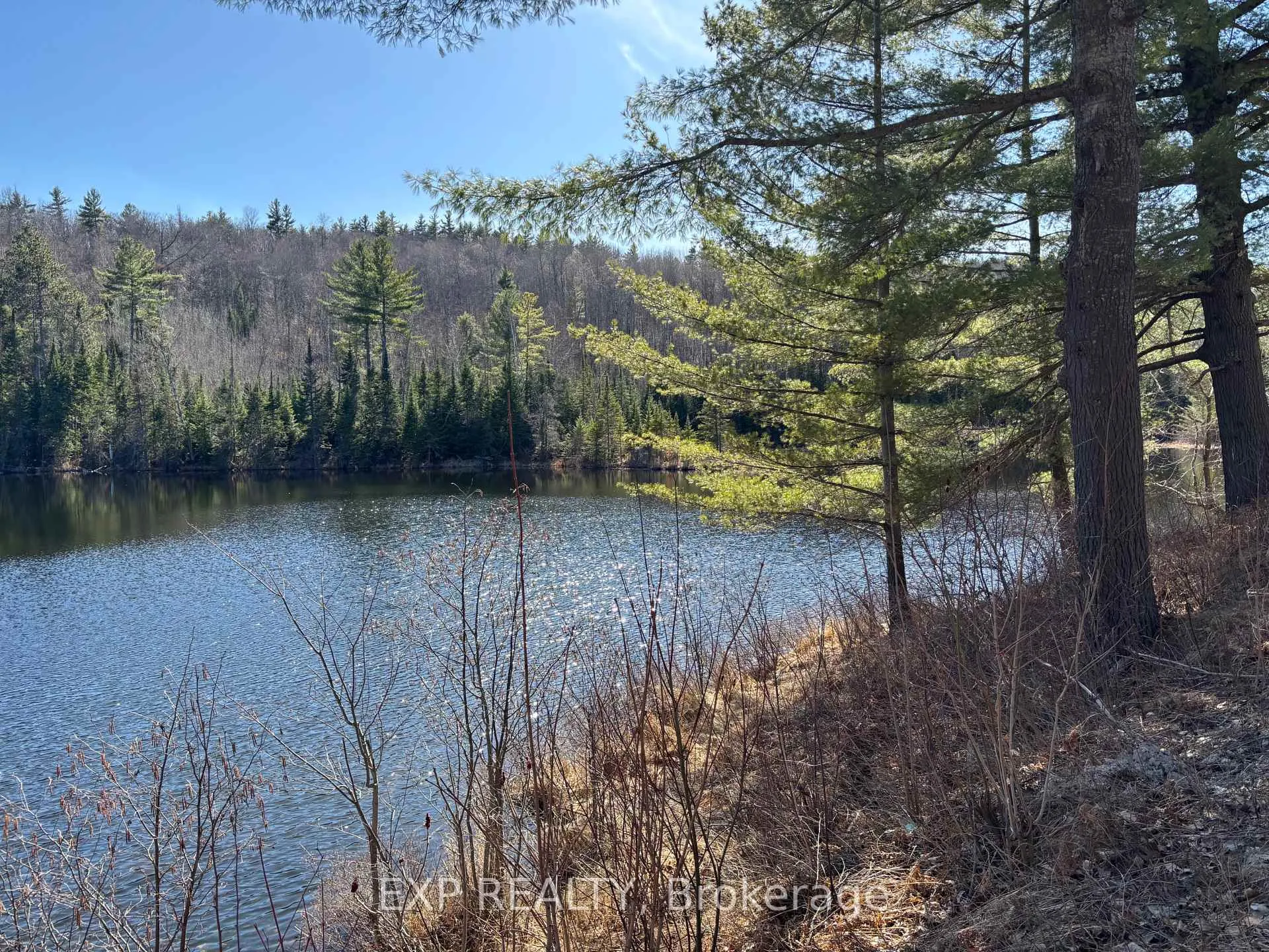 Photo 2 of 000 Opeongo Road, Madawaska Valley, Madawaska Valley — HOMEH