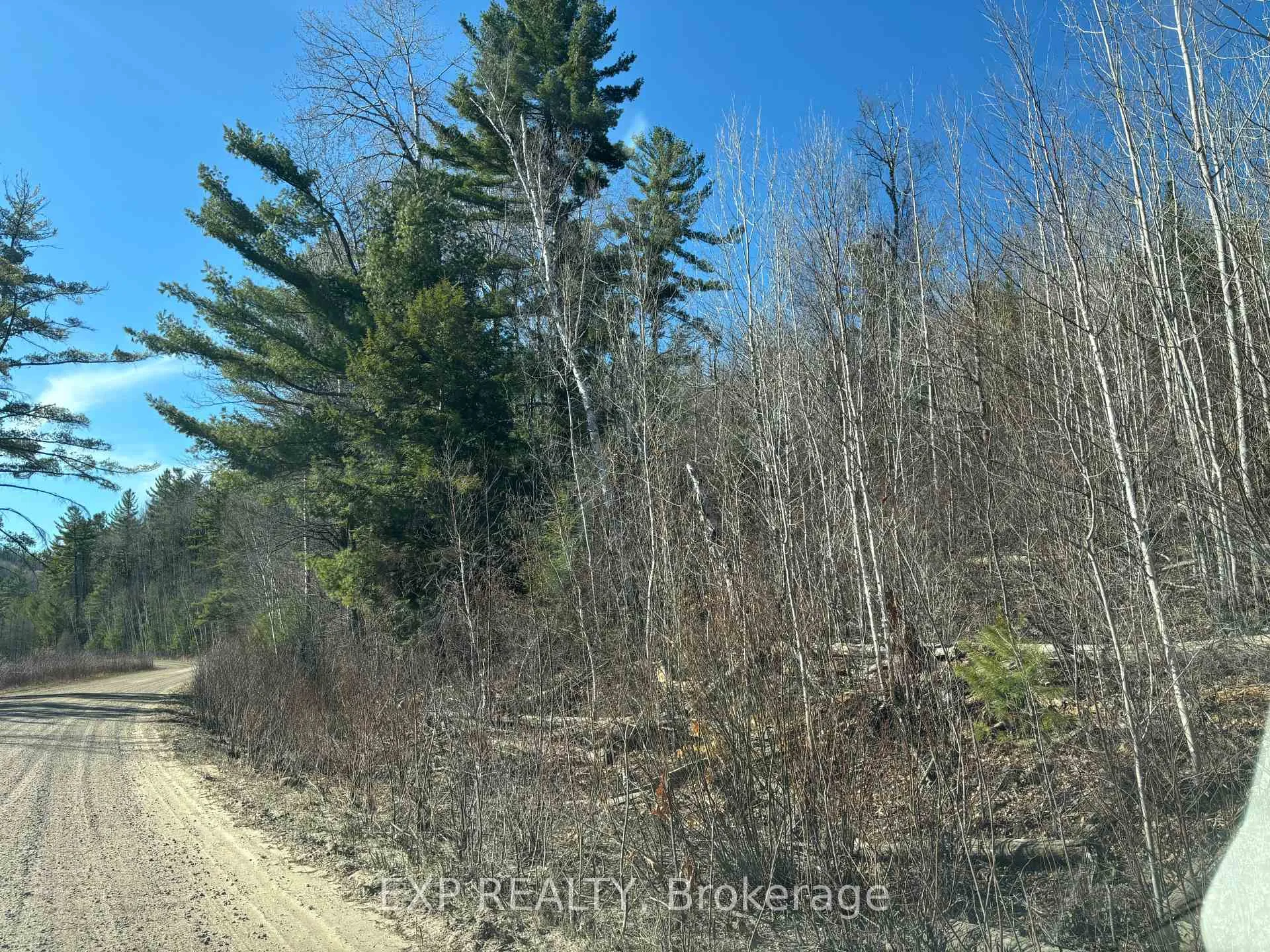 Photo 6 of 000 Opeongo Road, Madawaska Valley, Madawaska Valley — HOMEH