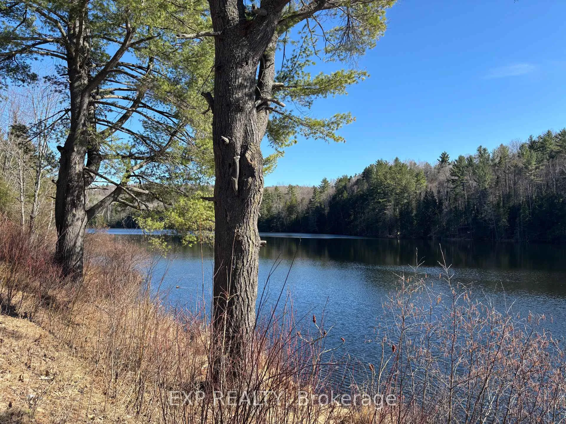 Photo 8 of 000 Opeongo Road, Madawaska Valley, Madawaska Valley — HOMEH