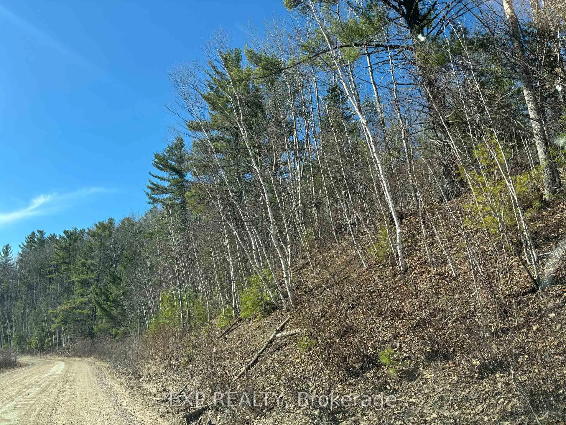 Photo 12 of 000 Opeongo Road, Madawaska Valley, Madawaska Valley — HOMEH