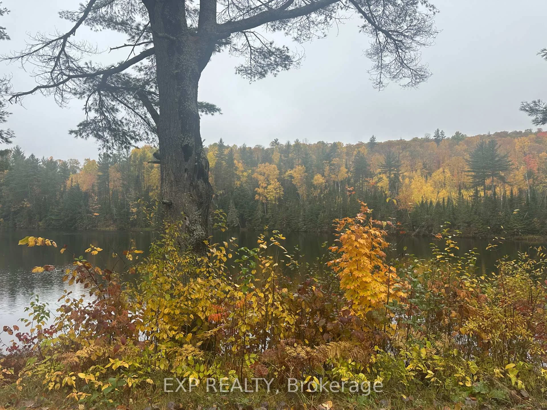 Photo 13 of 000 Opeongo Road, Madawaska Valley, Madawaska Valley — HOMEH