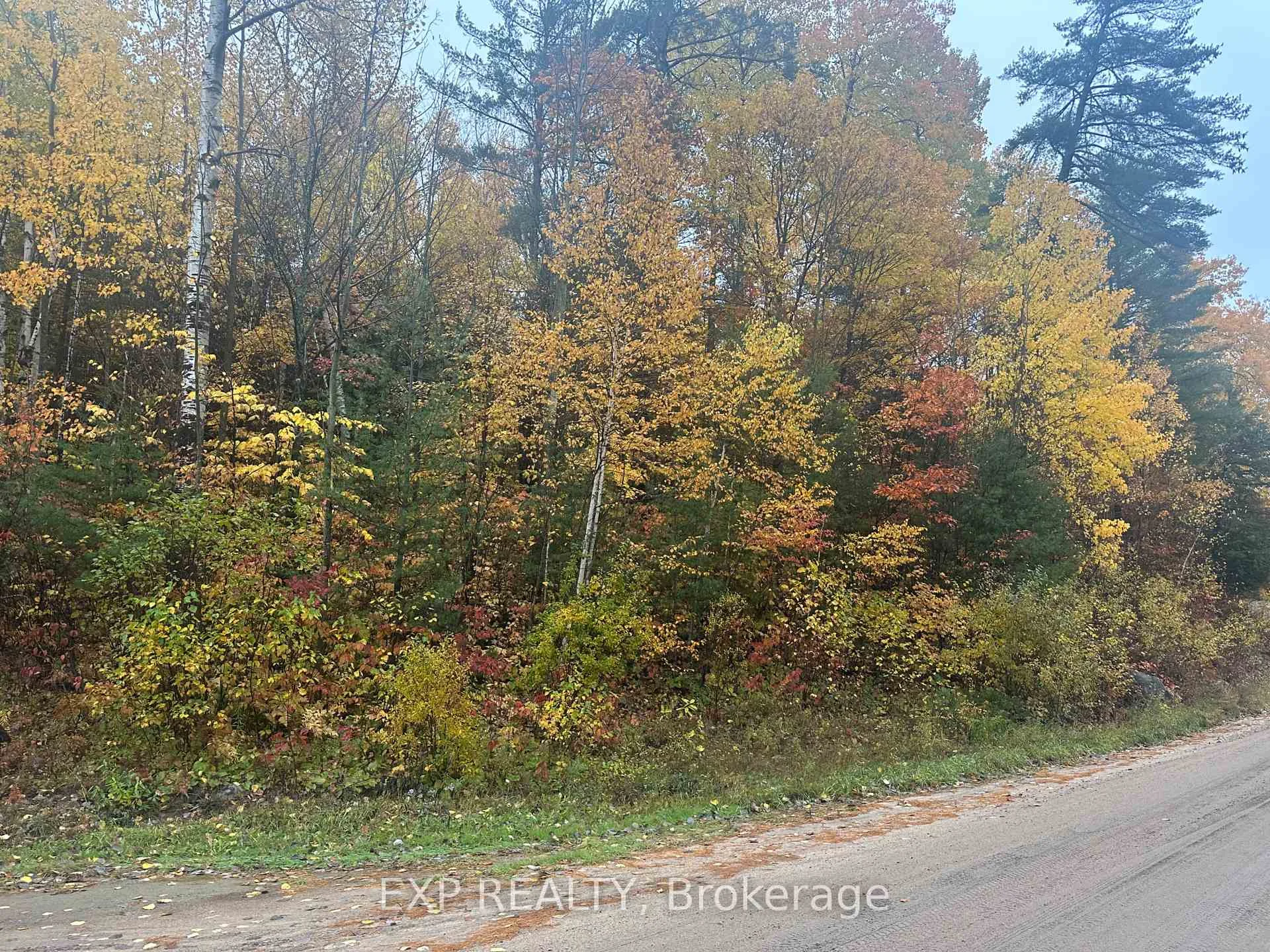 Photo 15 of 000 Opeongo Road, Madawaska Valley, Madawaska Valley — HOMEH
