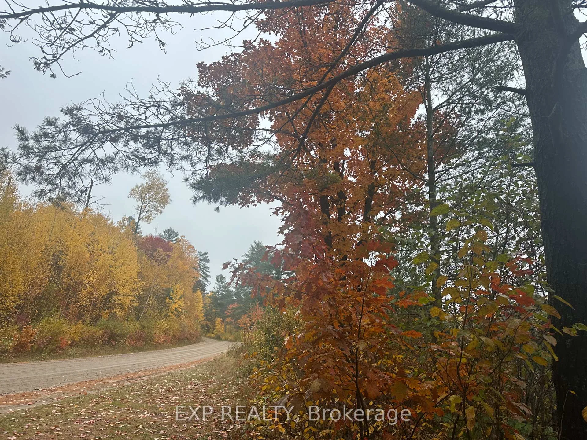 Photo 18 of 000 Opeongo Road, Madawaska Valley, Madawaska Valley — HOMEH