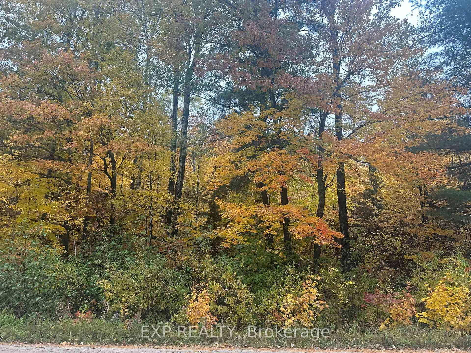 Photo 19 of 000 Opeongo Road, Madawaska Valley, Madawaska Valley — HOMEH