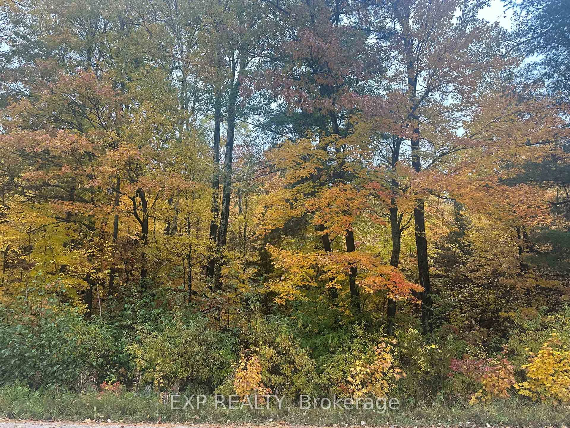 Photo 20 of 000 Opeongo Road, Madawaska Valley, Madawaska Valley — HOMEH