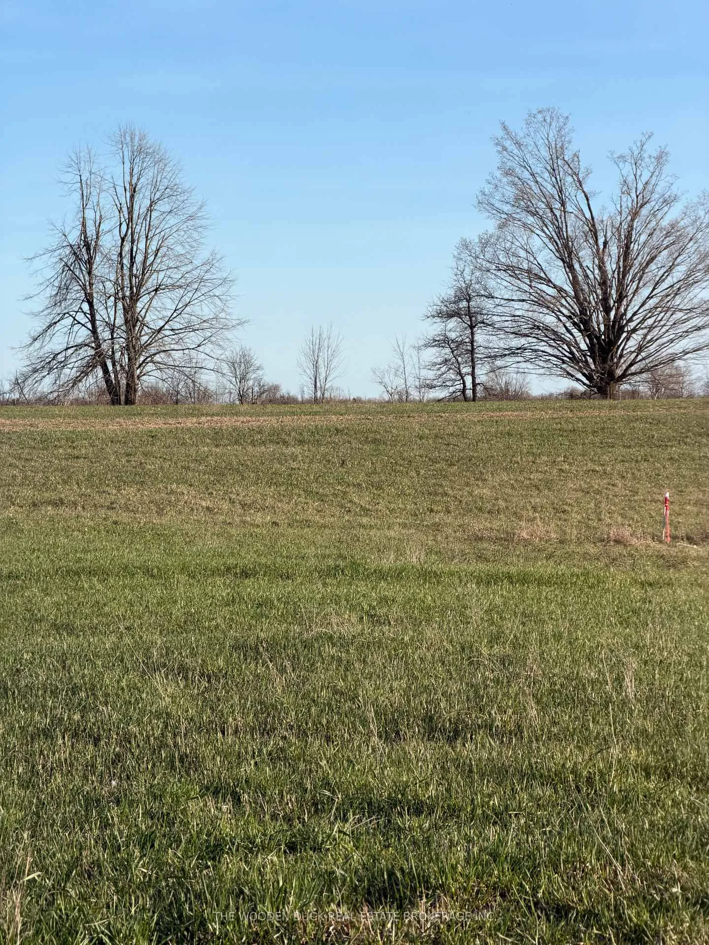 Photo 2 of Cooper Road, Madoc — HOMEH