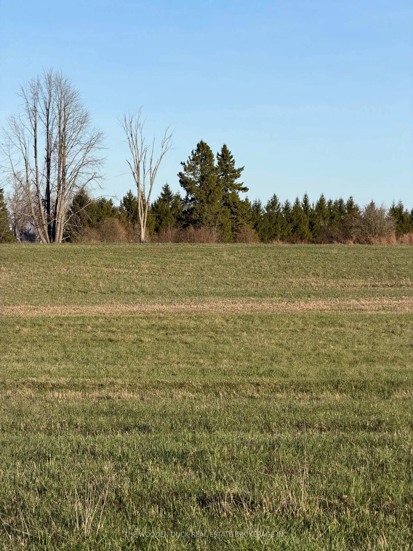 Photo 5 of Cooper Road, Madoc — HOMEH
