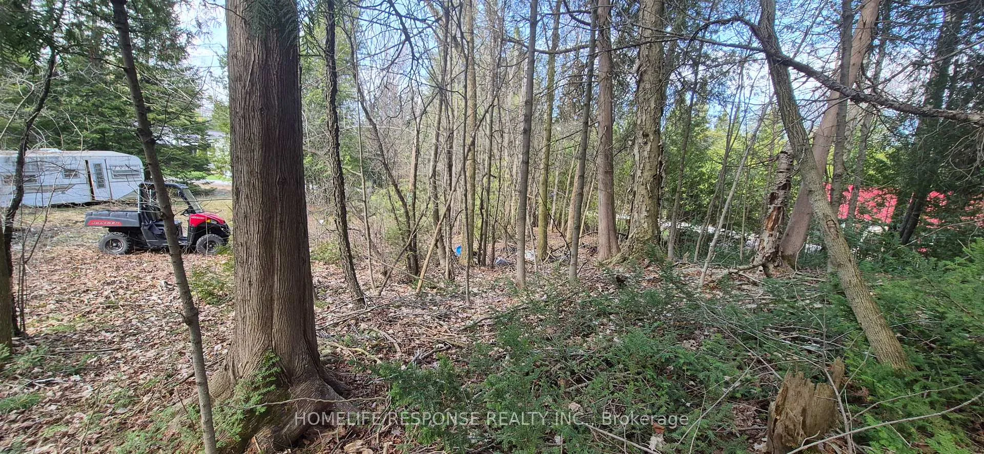Photo 2 of 48 Waldweg, Scugog, Rural Scugog — HOMEH